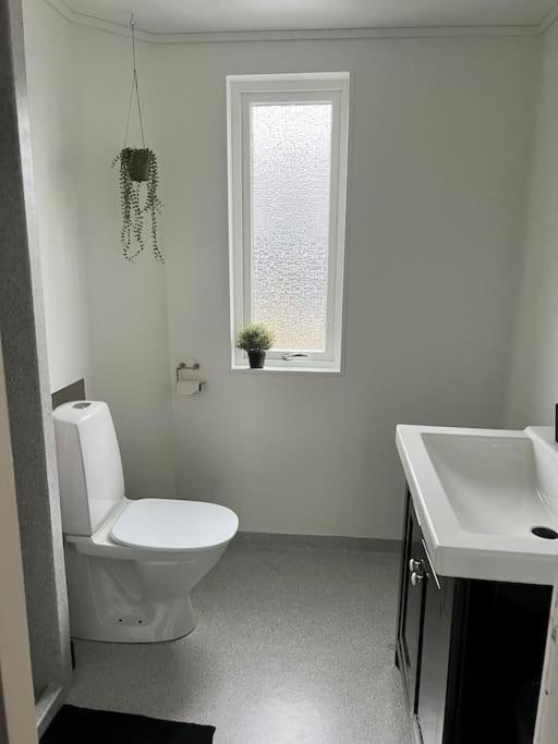 Apartment In The Center Of Torshavn, Free Parking. 외부 사진